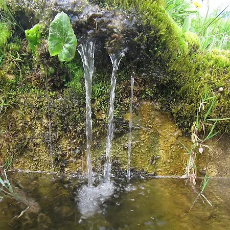 Haus Hubertus 홈스테이