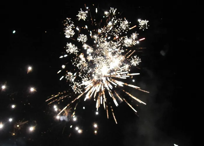 Haus Hubertus ホームステイ フェント