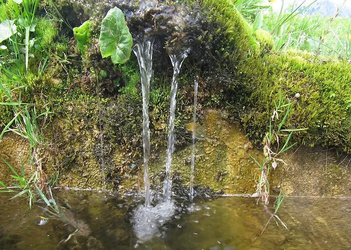 Haus Hubertus ホームステイ