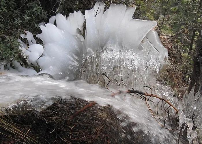 ホームステイ Haus Hubertus フェント